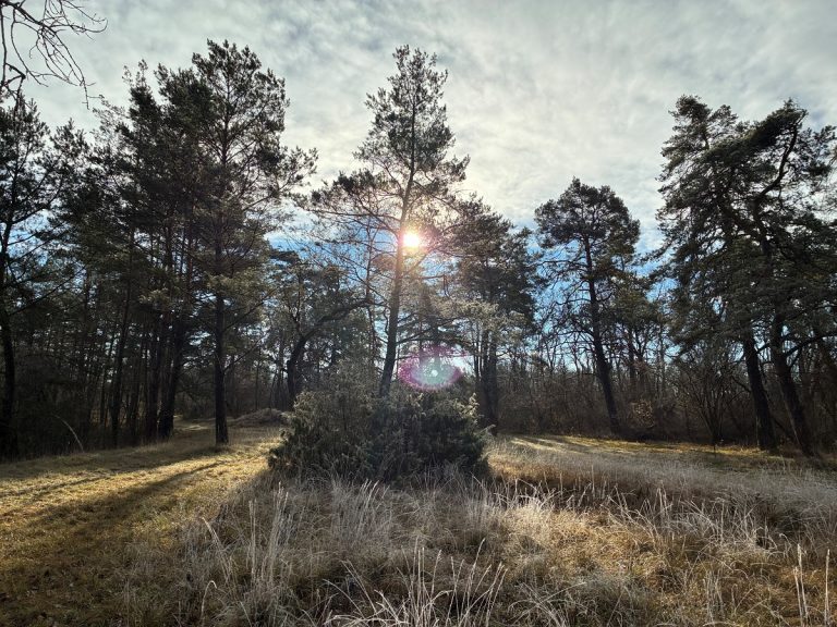 Freiwilligentag “DANUBEPARKS Volunteers Day”