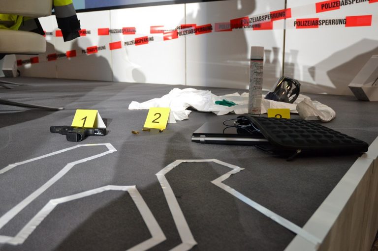 CrimeNight – Wahre Verbrechen (Show 2)