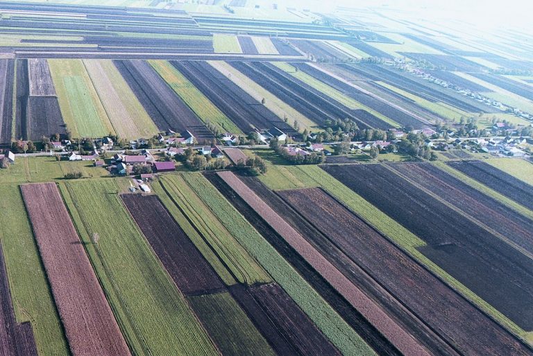 Dieter Wielands Donaumoos-Film “on Tour”