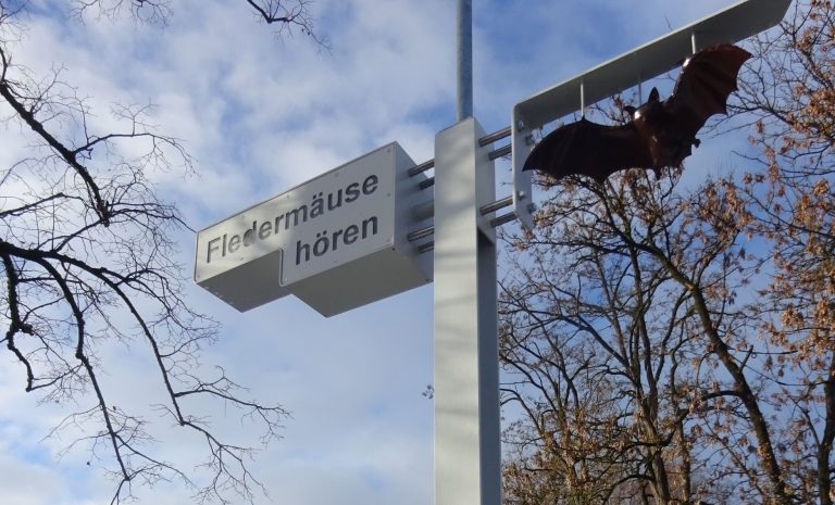 Fledermaus-Hörstation im Bürgerpark