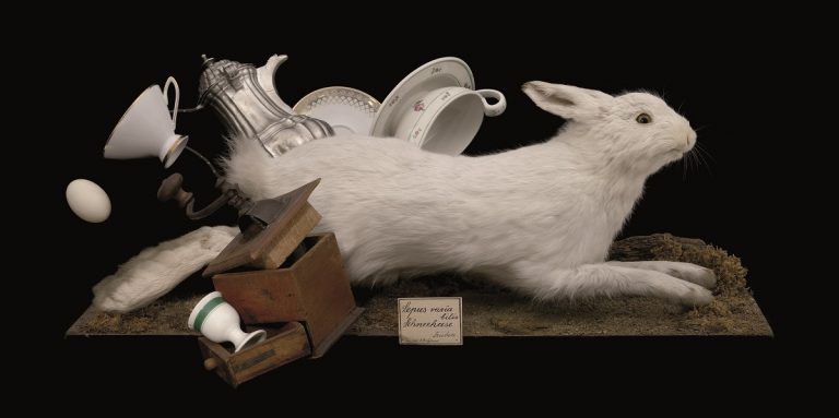 Augenweiden im Eichstätter Diözesanmuseum