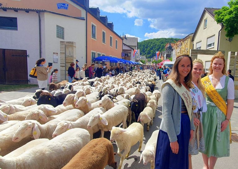 „Altmühltaler Lamm“-Auftrieb vom 15. bis 17. Mai