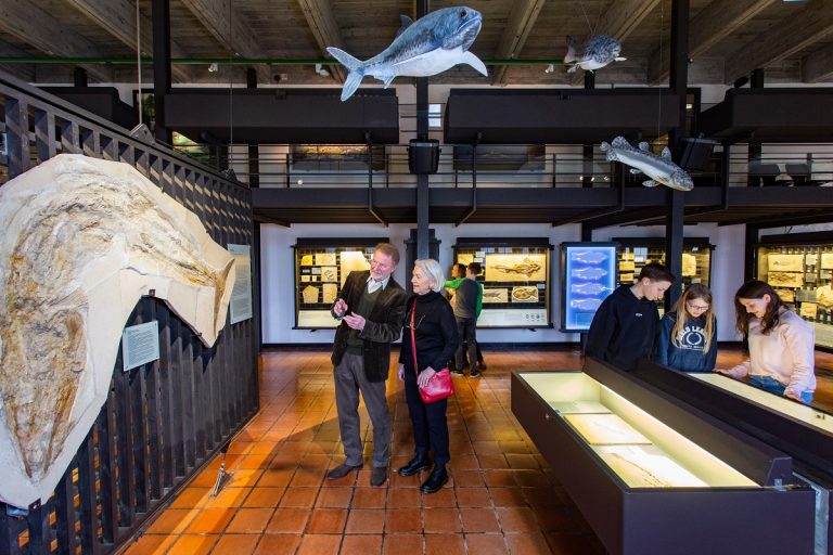 Internationaler Museumstag im Jura-Museum