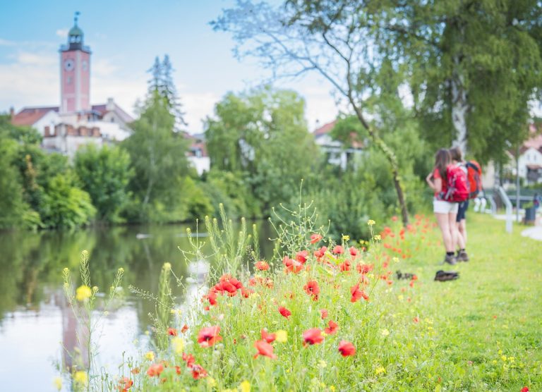 Den Sommer in Eichstätt genießen