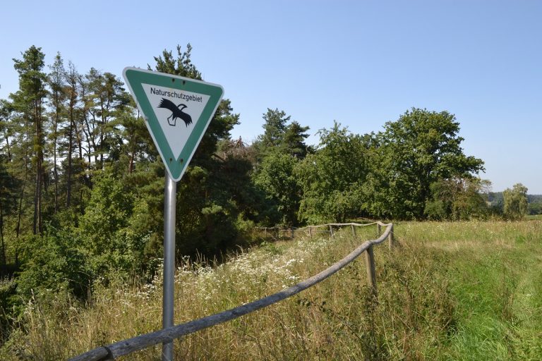 Ackerwildkrautwanderung