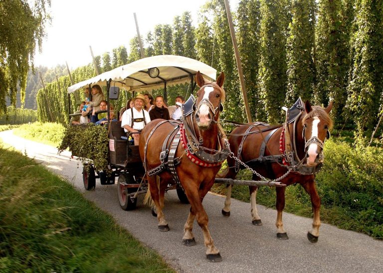 Ferientipps für Pfaffenhofen und Freising