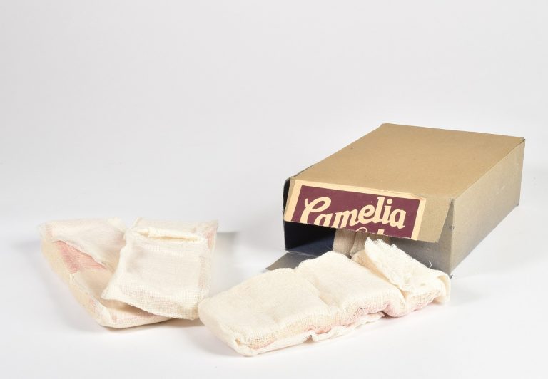 Mittagsvisite: Damenbinde “Camelia”